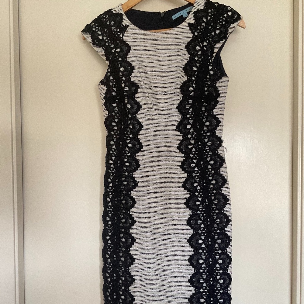 Antonio Melani Gray and Black Lace Knit Sheath Size 0
